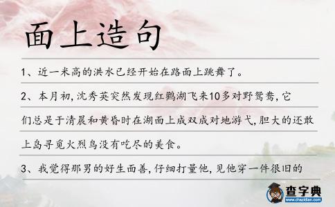 面上造句