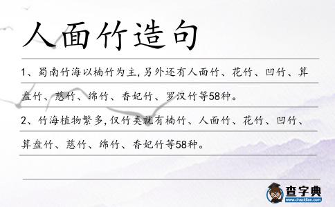 人面竹造句