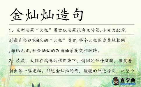 金燦燦造句