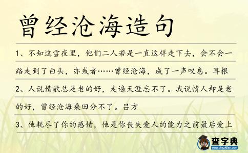 曾經(jīng)滄海造句