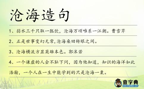 滄海造句