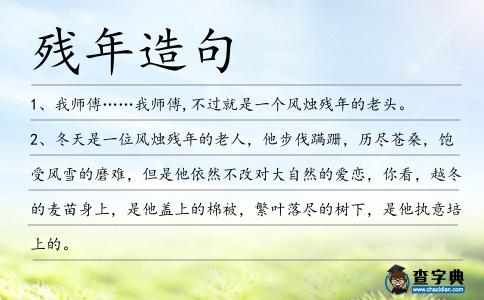 殘年造句