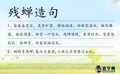 殘蟬造句