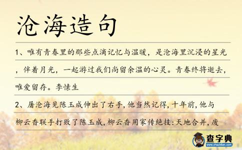 滄海造句