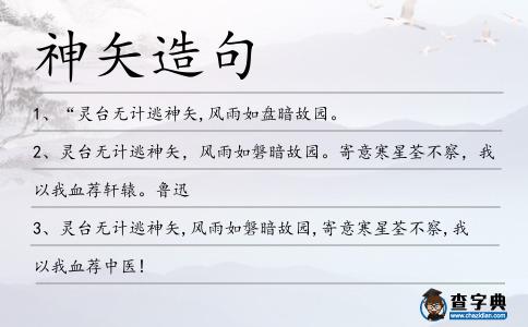 神矢造句