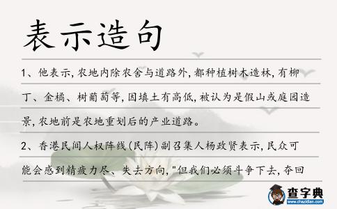 表示造句
