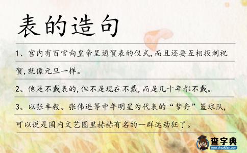 表的造句