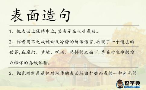 表面造句