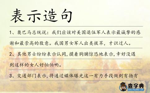 表示造句