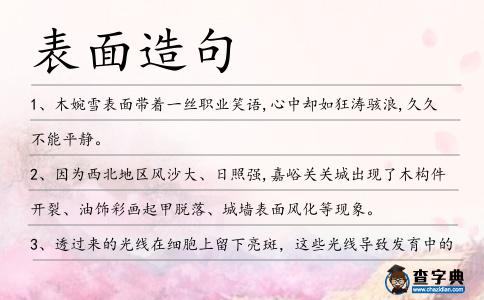 表面造句