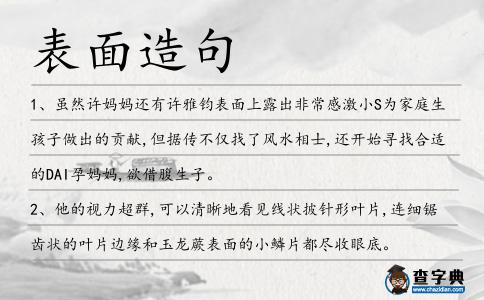 表面造句