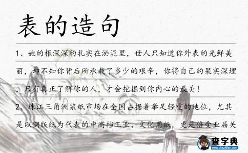 表的造句