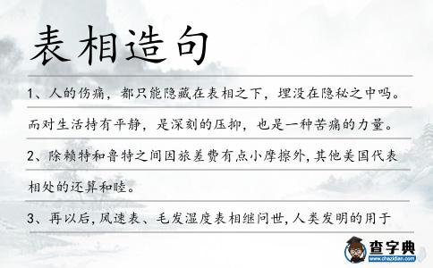 表相造句