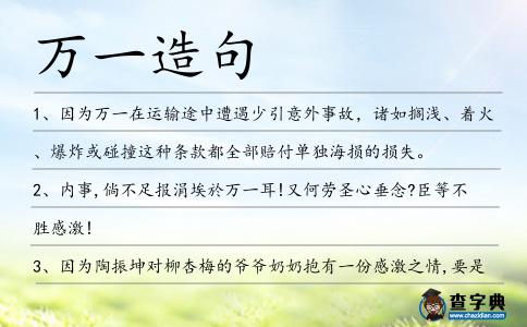 萬(wàn)一造句