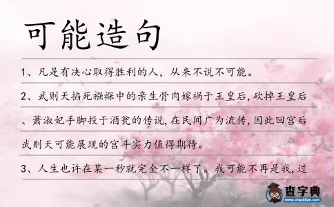 可能造句