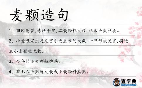 麥顆造句
