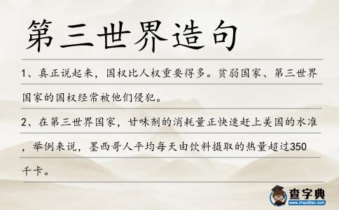 第三世界造句