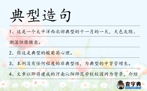 典型造句