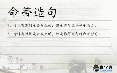 命蒂造句