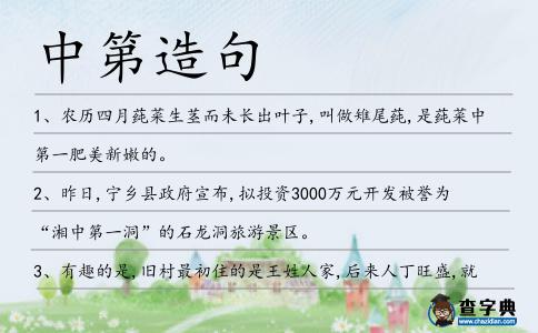 中第造句