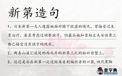 新第造句