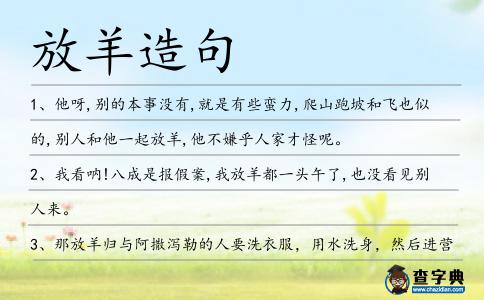 放羊造句