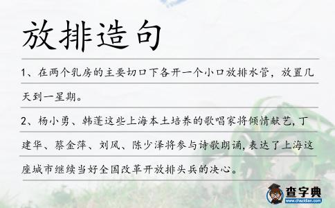 放排造句