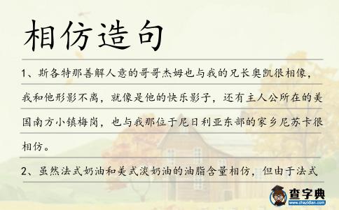 相仿造句