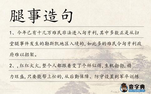 腿事造句