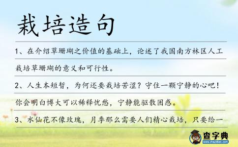 栽培造句
