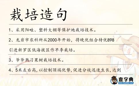 栽培造句