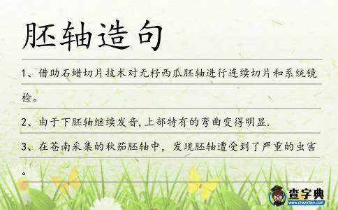 胚軸造句