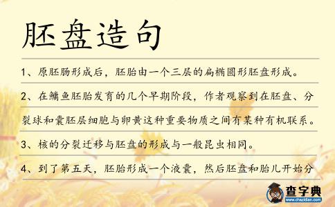 胚盤造句