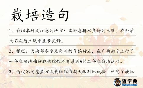 栽培造句