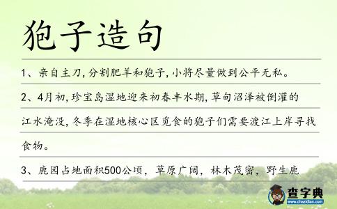 狍子造句