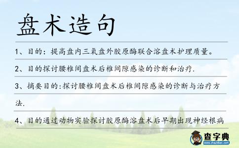 盤術造句