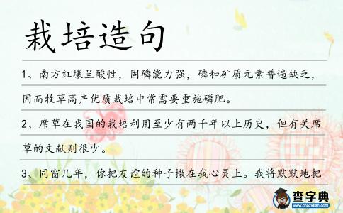 栽培造句