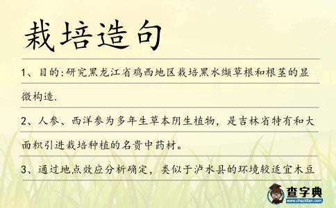 栽培造句