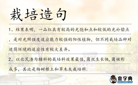 栽培造句