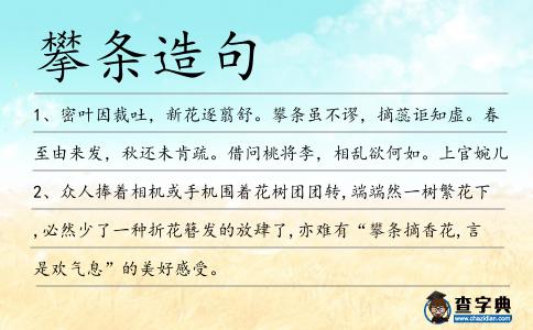 攀條造句