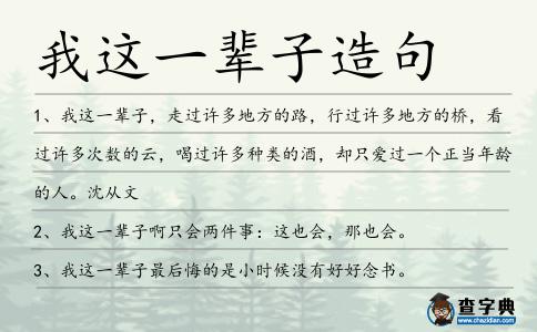 我這一輩子造句