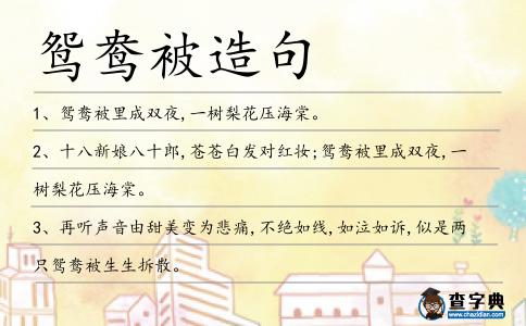 鴛鴦被造句
