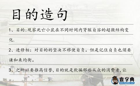 目的造句