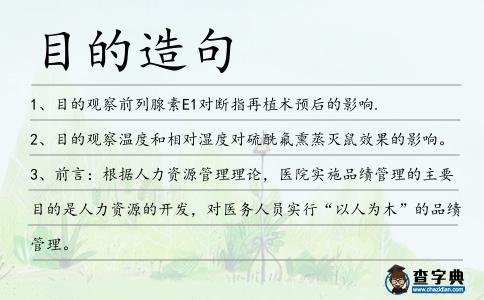 目的造句