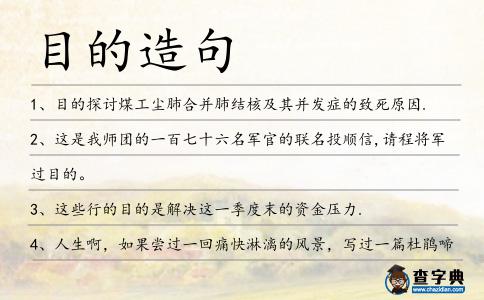 目的造句