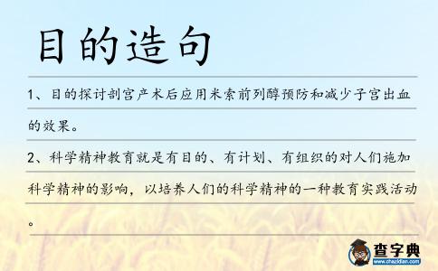 目的造句