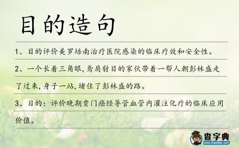 目的造句