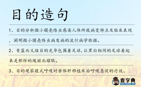 目的造句