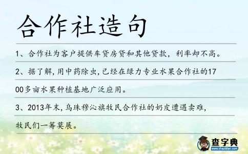 合作社造句
