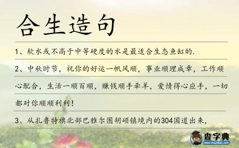 合生造句